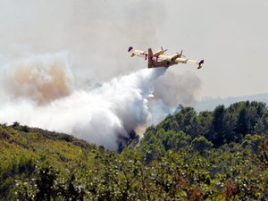 Incendios forestales en suroeste de Francia obligan a evacuar a 280 ...